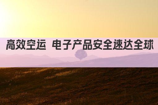 高效空运 电子产品安全速达全球 