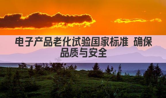 电子产品老化试验国家标准 确保品质与安全