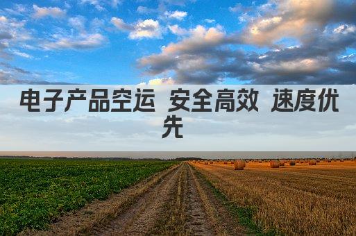 电子产品空运 安全高效 速度优先 