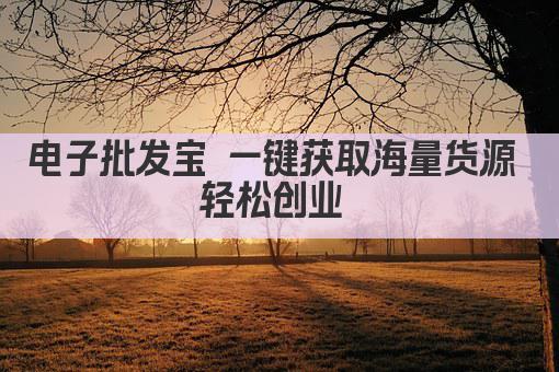 电子批发宝 一键获取海量货源 轻松创业 