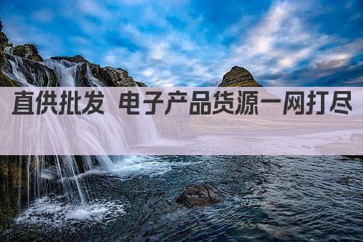 直供批发 电子产品货源一网打尽 
