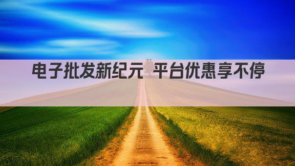 电子批发新纪元 平台优惠享不停 