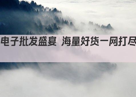 电子批发盛宴 海量好货一网打尽 