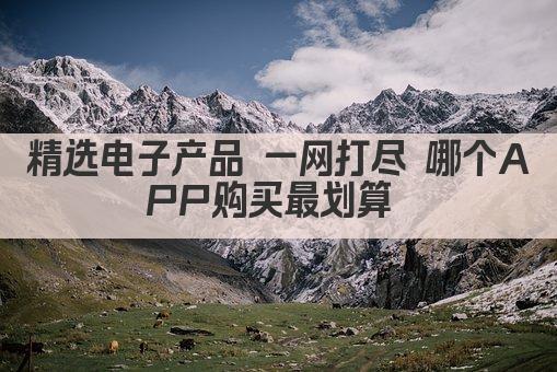 精选电子产品 一网打尽 哪个APP购买最划算 