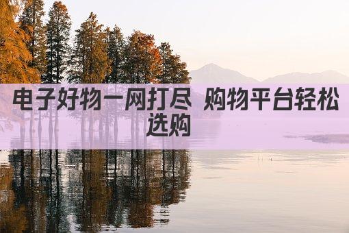 电子好物一网打尽 购物平台轻松选购 