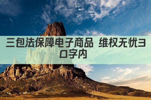 三包法保障电子商品 维权无忧30字内 