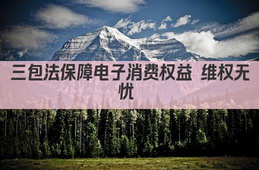 三包法保障电子消费权益 维权无忧 