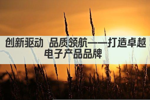 创新驱动 品质领航——打造卓越电子产品品牌 