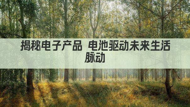揭秘电子产品 电池驱动未来生活脉动