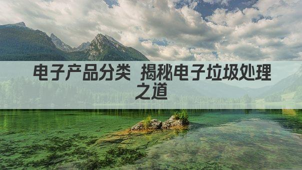 电子产品分类 揭秘电子垃圾处理之道