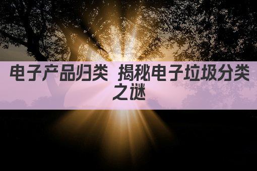 电子产品归类 揭秘电子垃圾分类之谜