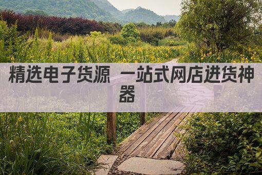 精选电子货源 一站式网店进货神器 