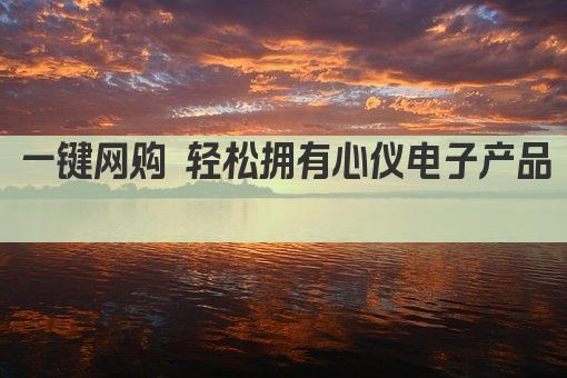 一键网购 轻松拥有心仪电子产品 