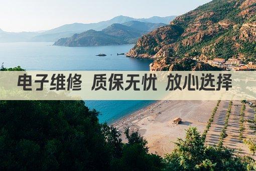 电子维修 质保无忧 放心选择 