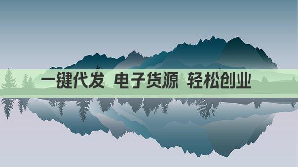 一键代发 电子货源 轻松创业 