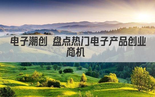 电子潮创 盘点热门电子产品创业商机 
