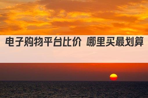 电子购物平台比价 哪里买最划算 