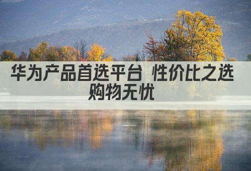 华为产品首选平台 性价比之选 购物无忧 