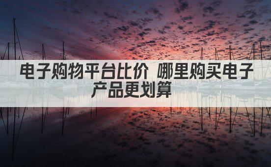电子购物平台比价 哪里购买电子产品更划算 