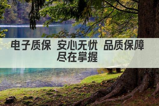 电子质保 安心无忧 品质保障 尽在掌握 