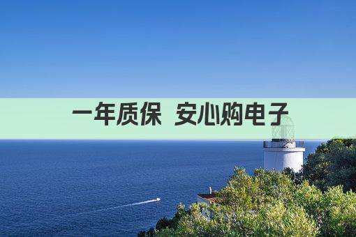 一年质保 安心购电子