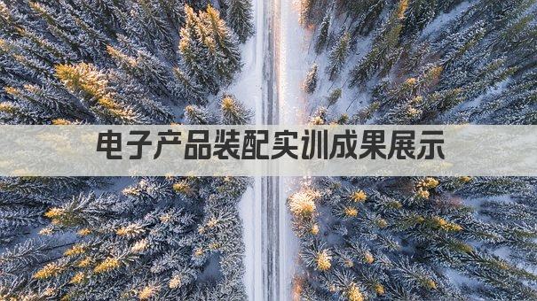 电子产品装配实训成果展示