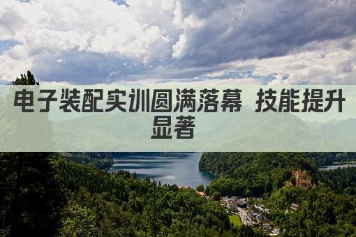 电子装配实训圆满落幕 技能提升显著 