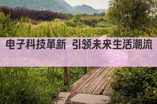 电子科技革新 引领未来生活潮流 