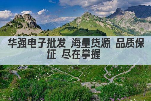 华强电子批发 海量货源 品质保证 尽在掌握 