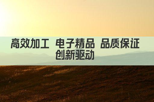 高效加工 电子精品 品质保证 创新驱动 