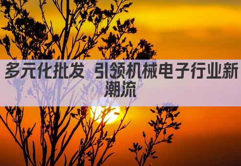 多元化批发 引领机械电子行业新潮流