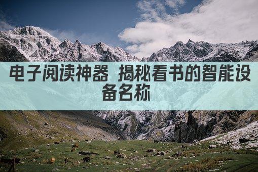 电子阅读神器 揭秘看书的智能设备名称 