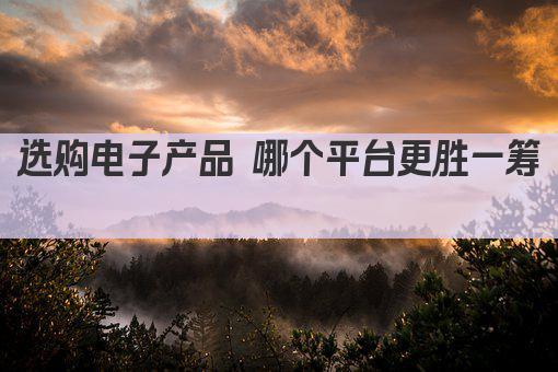 选购电子产品 哪个平台更胜一筹 