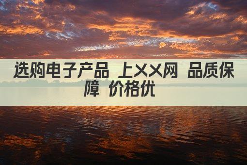 选购电子产品 上XX网 品质保障 价格优 