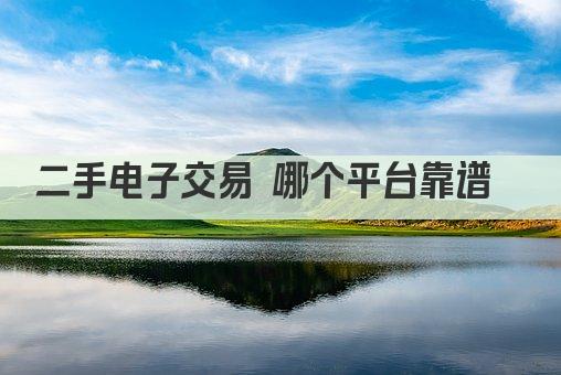 二手电子交易 哪个平台靠谱  
