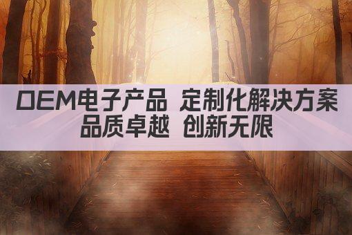 OEM电子产品 定制化解决方案 品质卓越 创新无限 