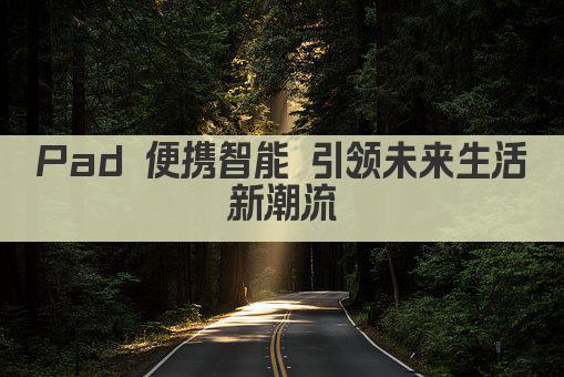 Pad 便携智能 引领未来生活新潮流