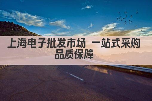 上海电子批发市场 一站式采购 品质保障 