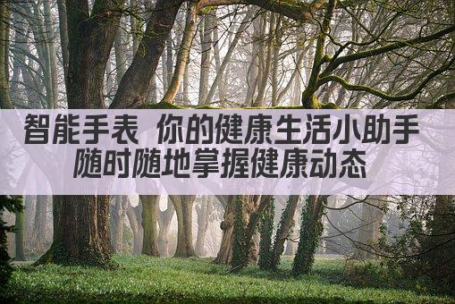 智能手表 你的健康生活小助手 随时随地掌握健康动态 