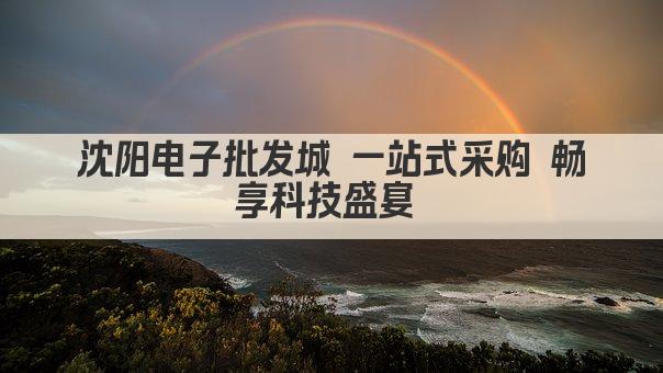 沈阳电子批发城 一站式采购 畅享科技盛宴 
