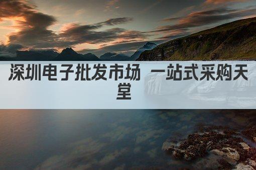深圳电子批发市场 一站式采购天堂 