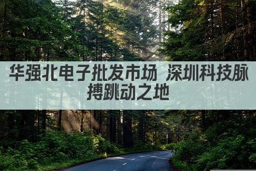 华强北电子批发市场 深圳科技脉搏跳动之地