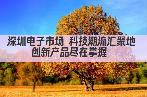 深圳电子市场 科技潮流汇聚地 创新产品尽在掌握  