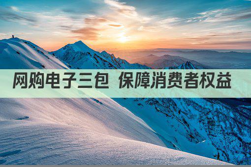 网购电子三包 保障消费者权益 