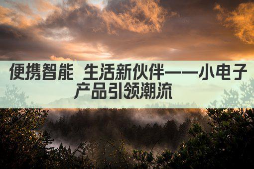 便携智能 生活新伙伴——小电子产品引领潮流 