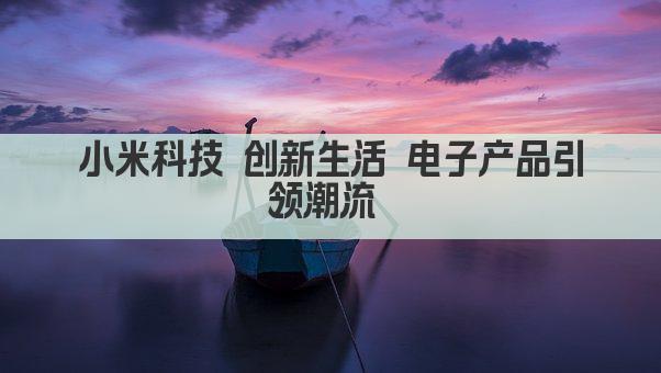 小米科技 创新生活 电子产品引领潮流 