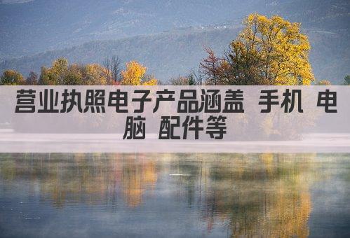 营业执照电子产品涵盖 手机 电脑 配件等