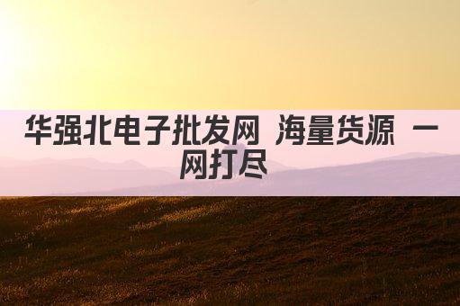华强北电子批发网 海量货源 一网打尽 