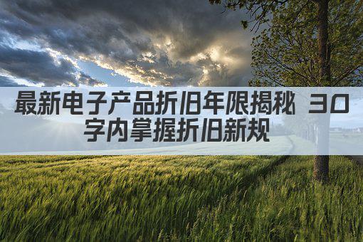 最新电子产品折旧年限揭秘 30字内掌握折旧新规 