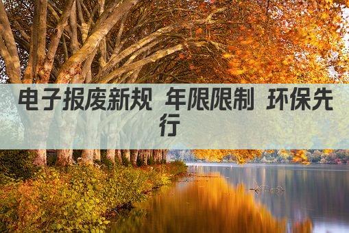 电子报废新规 年限限制 环保先行 